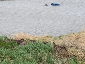 Dakota Towing - Recovery Gallery